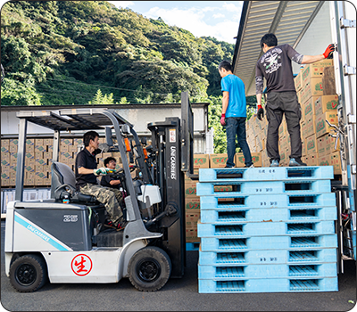 全国へ広がる出荷ルート