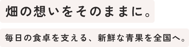 確かな技術で、未来の安全を支える。