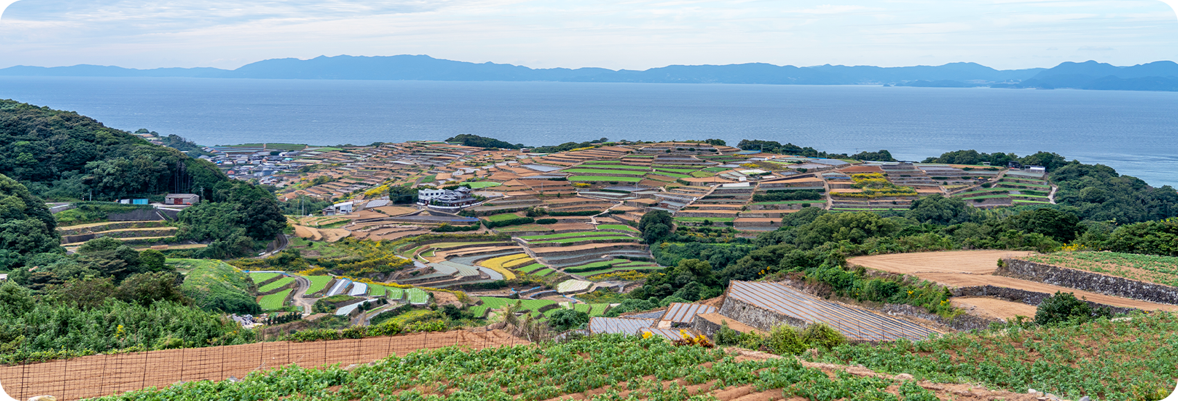 産地の紹介