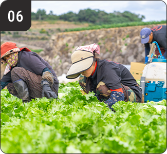 100名以上の生産者と築く信頼のパートナーシップ