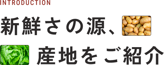 新鮮さの源、産地をご紹介