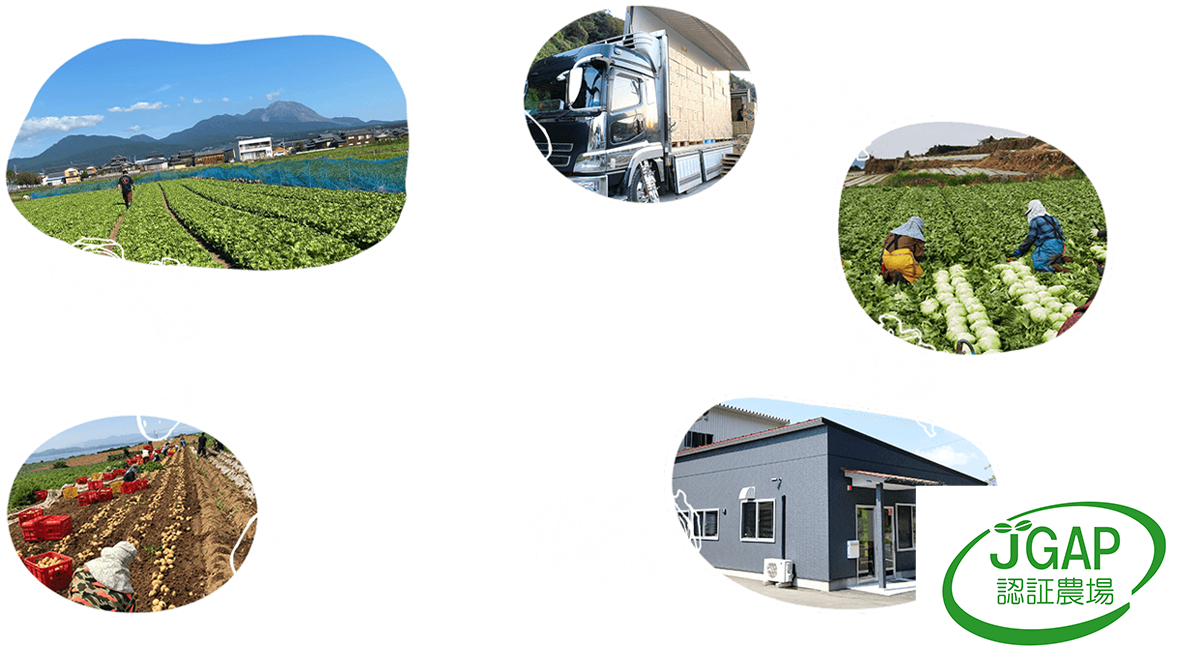 日本中に新鮮でおいしい野菜をお届けします！